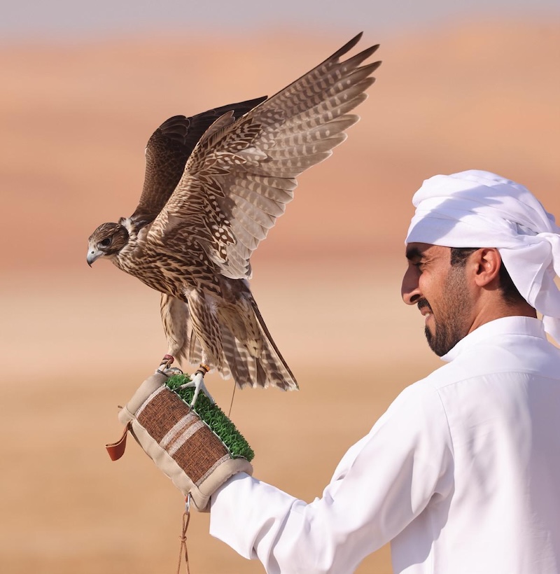 Falconry and Emirati culture